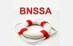 Formation au BNSSA