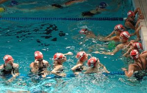 1DSC_0224 (28).JPG