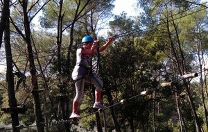 545610b2ef418_IMAG0646.jpg