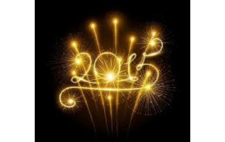 Voeux 2015