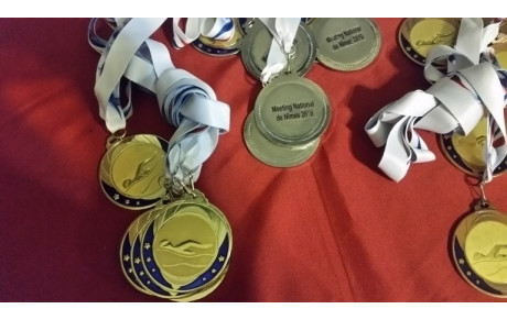 Animation Ecole de Nage